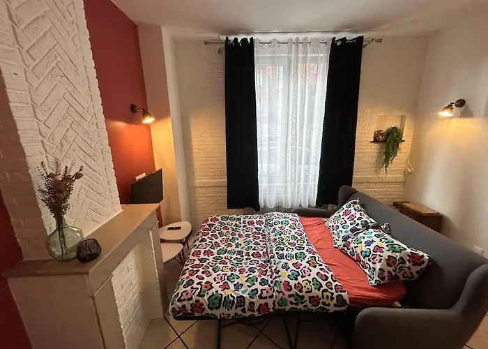 Studio 2 Personnes Bethune Centre